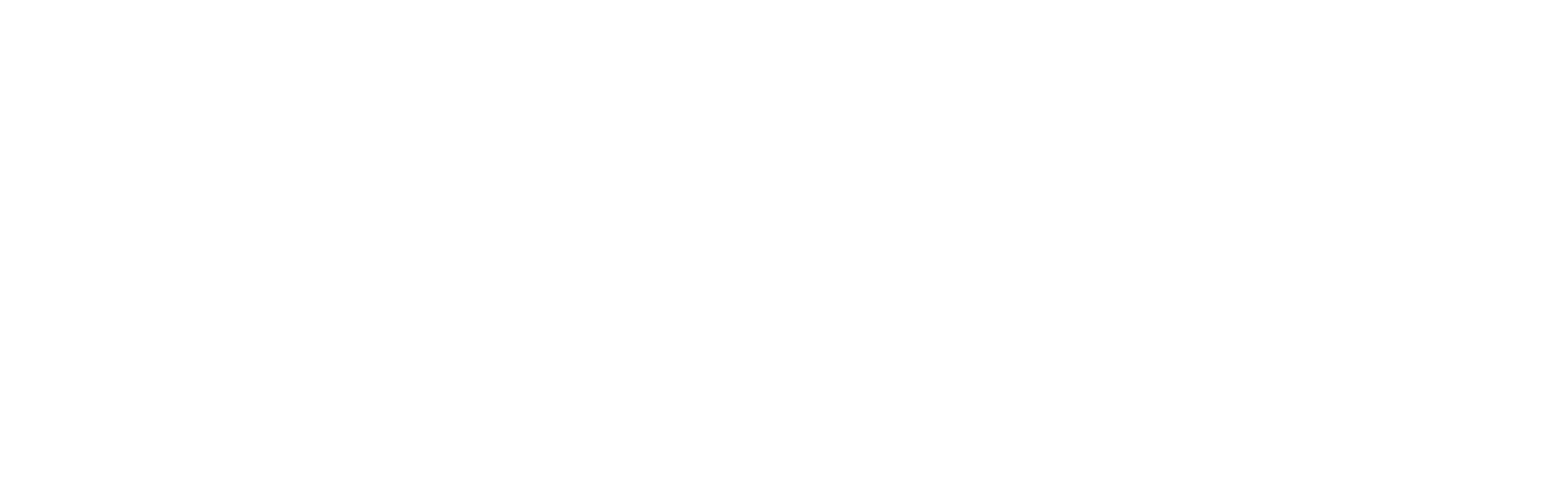 Sabrina Hess - Pferdegestütztes Coaching
